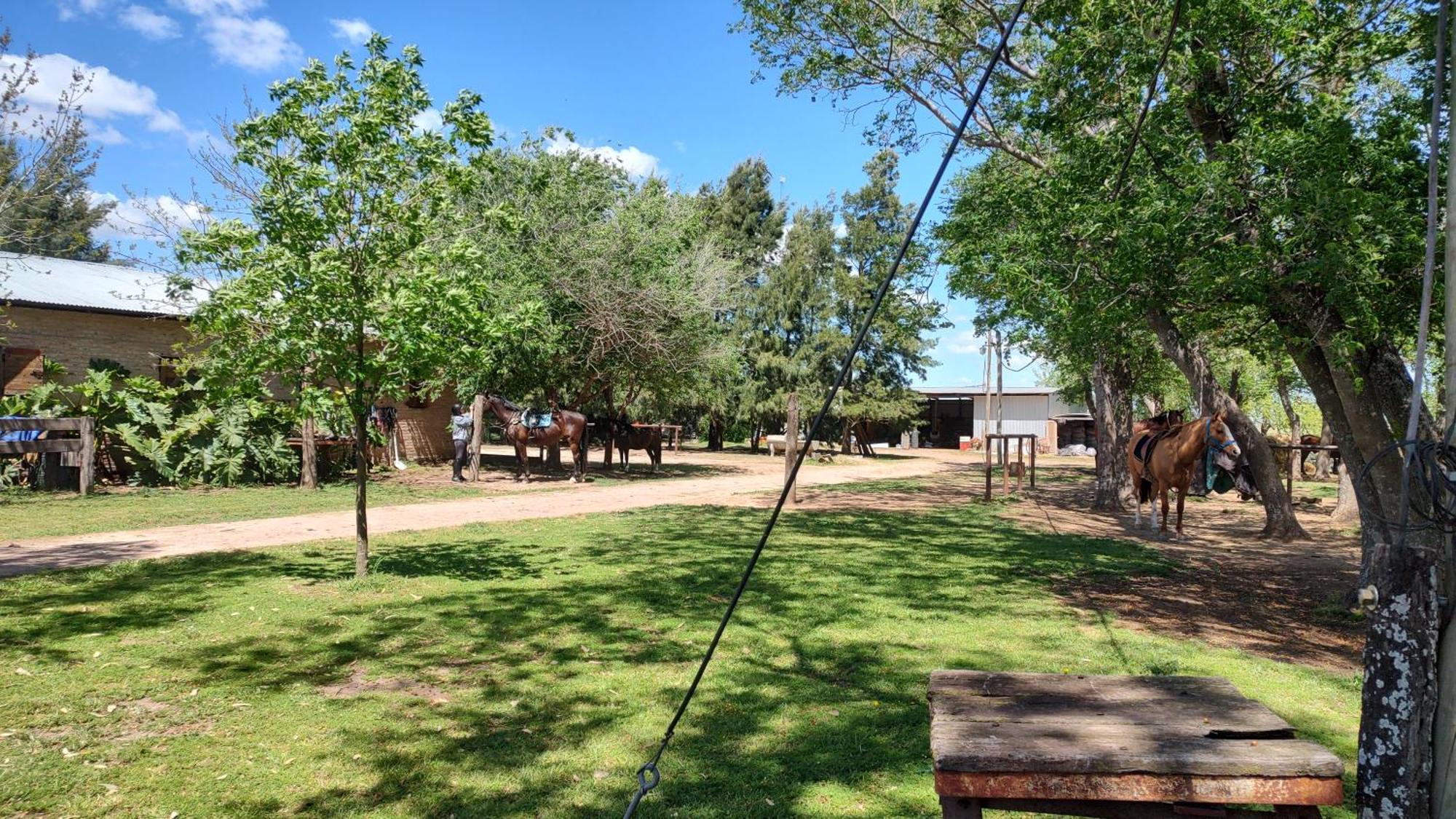 Cabana Rural El Encuentro ซานอันโตนิโอเดอาเรโก ห้อง รูปภาพ